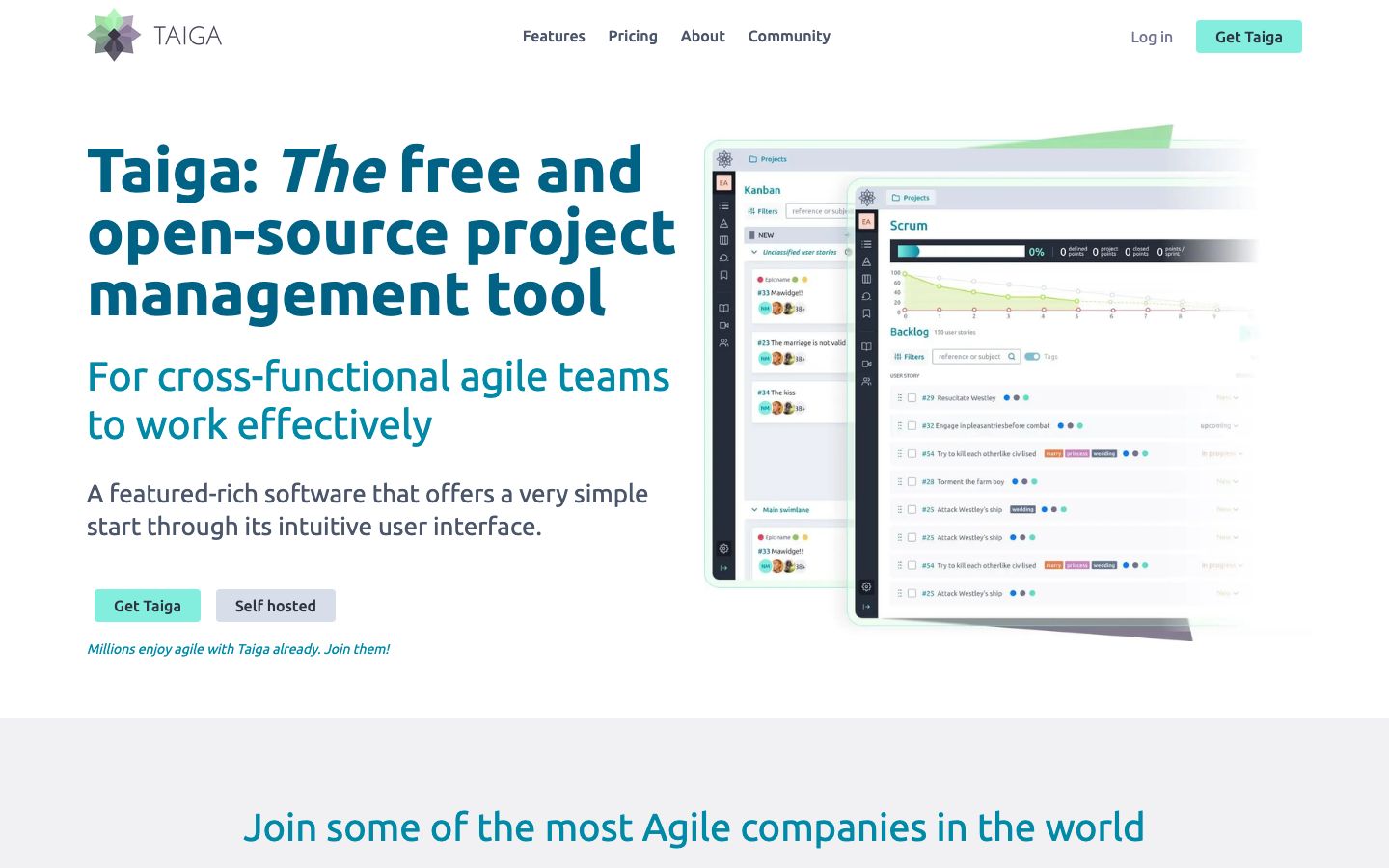 Screenshot of the Taiga website